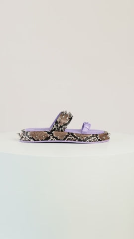 HARLEY LILAC/ SNAKE PUNK